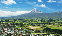 New Plymouth possibilities