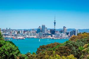 Auckland housing market rebounding